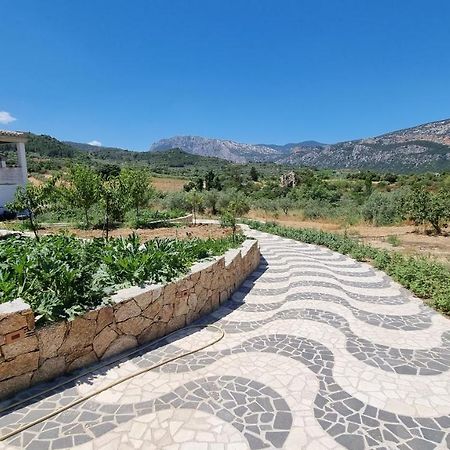Villa Biriculi Dorgali Bagian luar foto