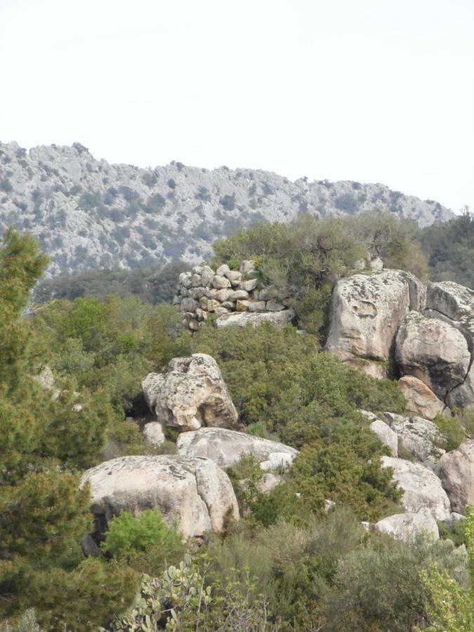 Villa Biriculi Dorgali Bagian luar foto